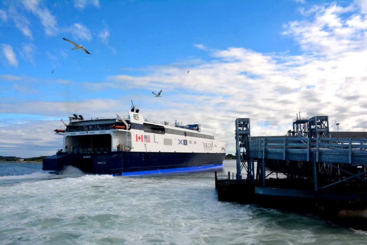 are dogs allowed on the cat ferry