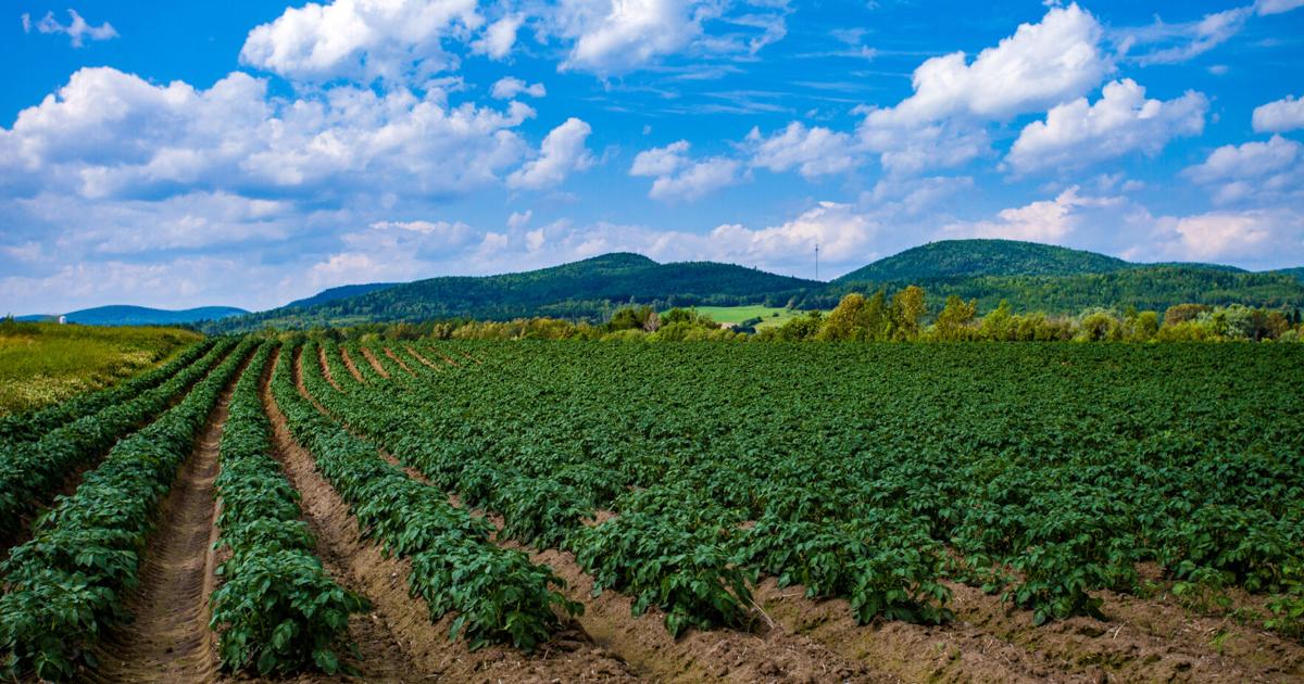 MOFGA opens agriculture scholarship process | Education | mdislander.com