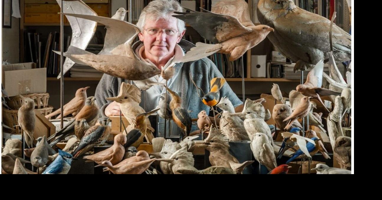 World’s best bird carver to offer programs at Wendell Gilley Museum ...