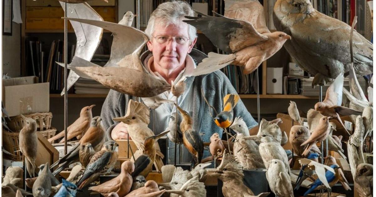 World’s best bird carver to offer programs at Wendell Gilley Museum ...