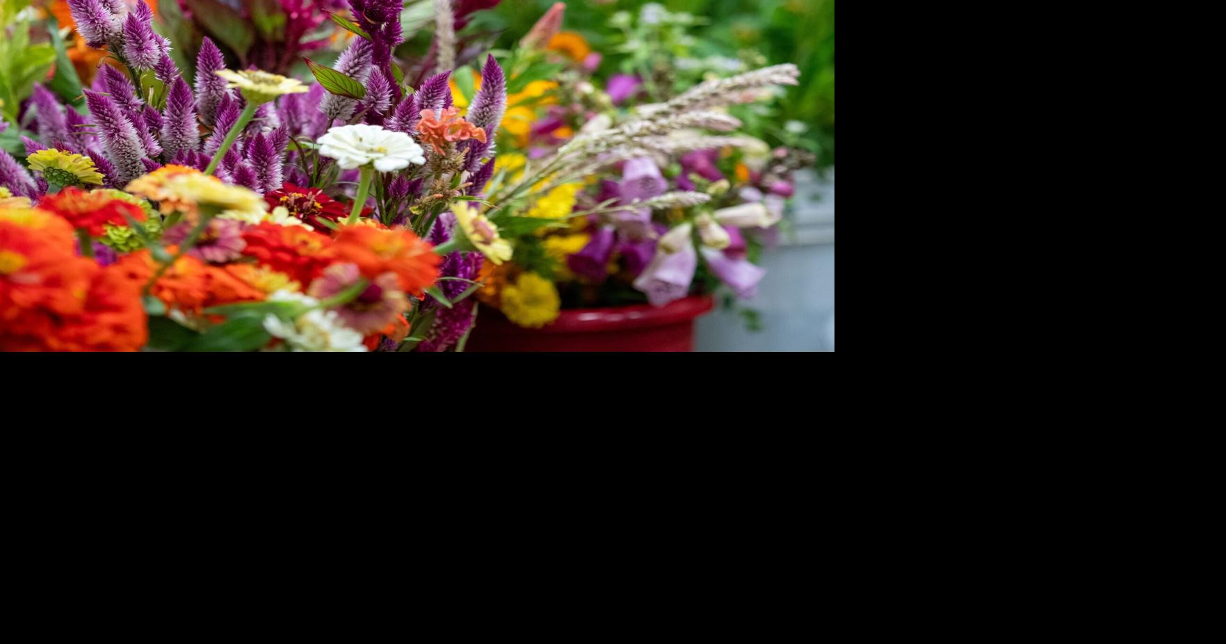 UMaine Extension hosts online talk about flower farming | Arts & Living ...