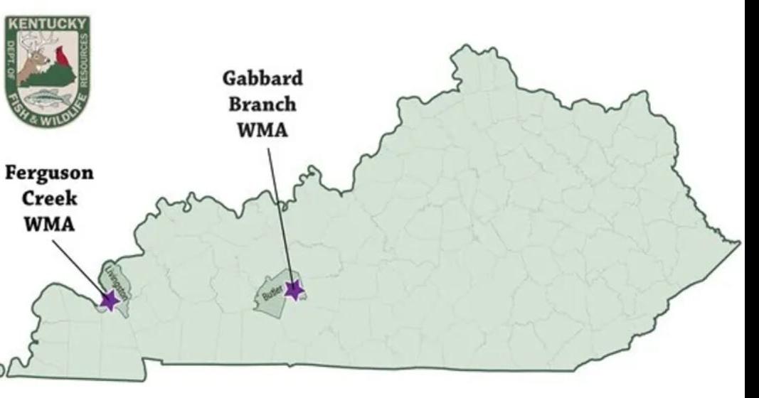 Kentucky Fish and Wildlife opens 1,400 acres for public hunting in