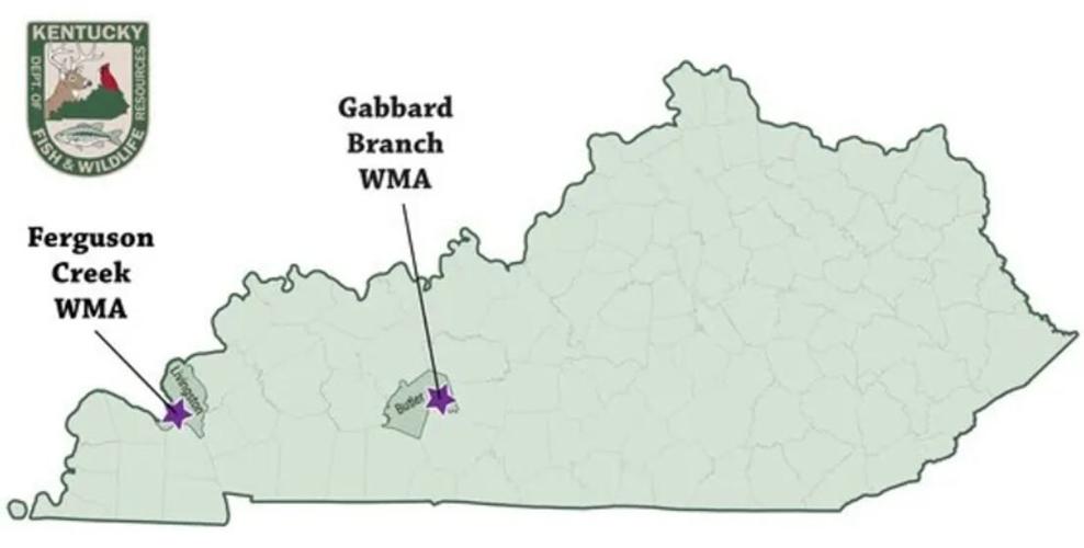 Kentucky Fish and Wildlife opens 1,400 acres for public hunting in western Kentucky News