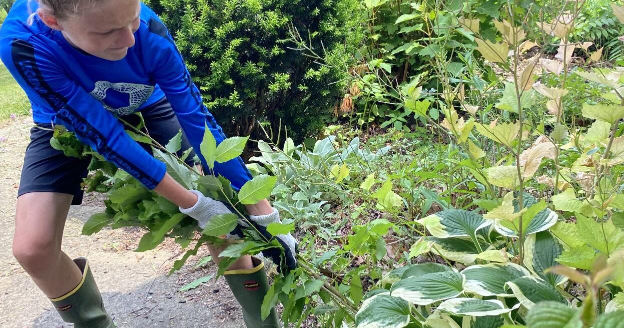 His Work His Way is underway around Conneaut Lake - Vimarsana News