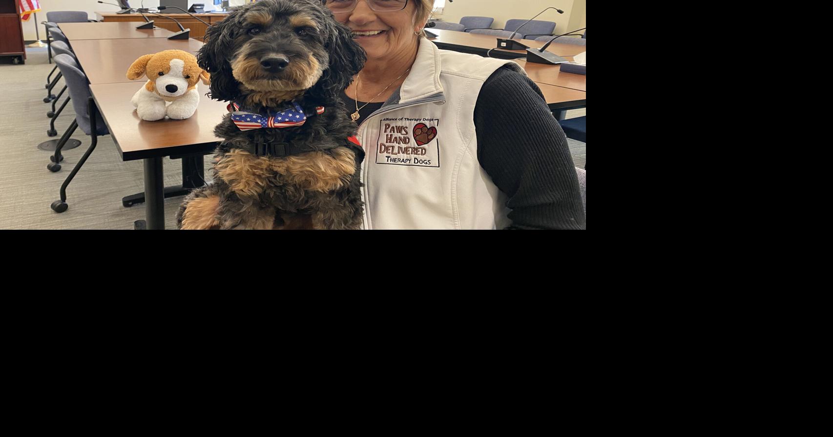 Courtroom therapy dogs gain ground as advocates push expansion | News ...
