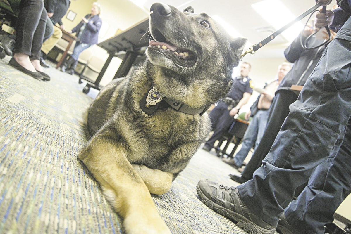 Meadville’s K9 police dog honored with retirement party News