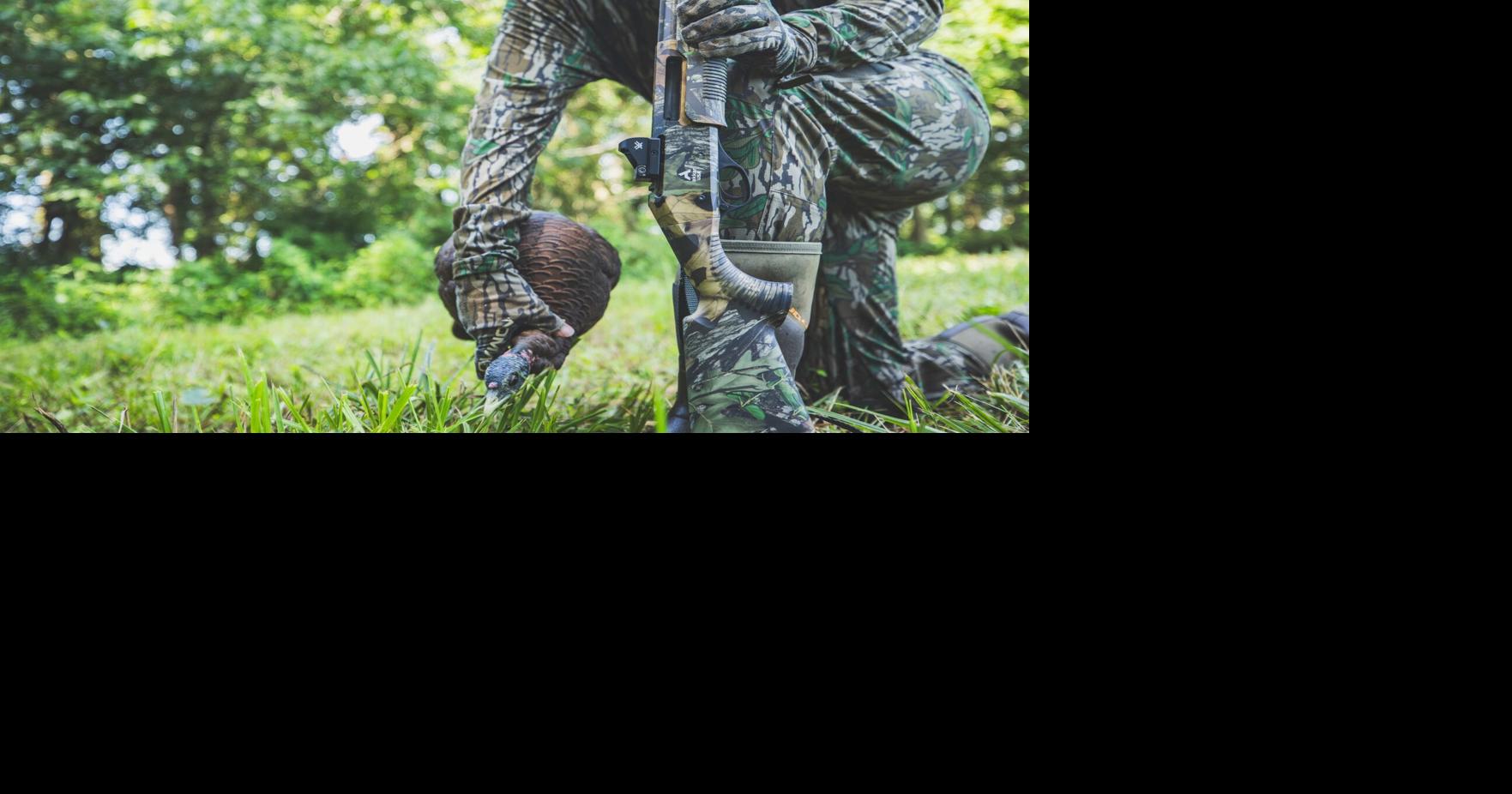 These dogs will hunt. A couple picks for your new turkey gun