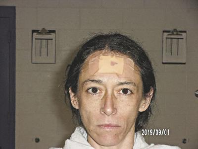 Meadville Woman To Trial After Allegedly Destructive Day News Meadvilletribune Com