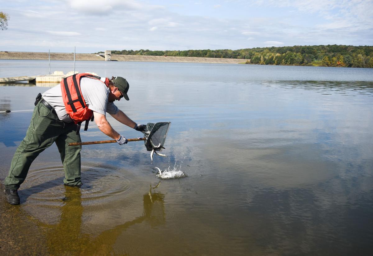 Fish Stocking At Woodcock Creek Lake