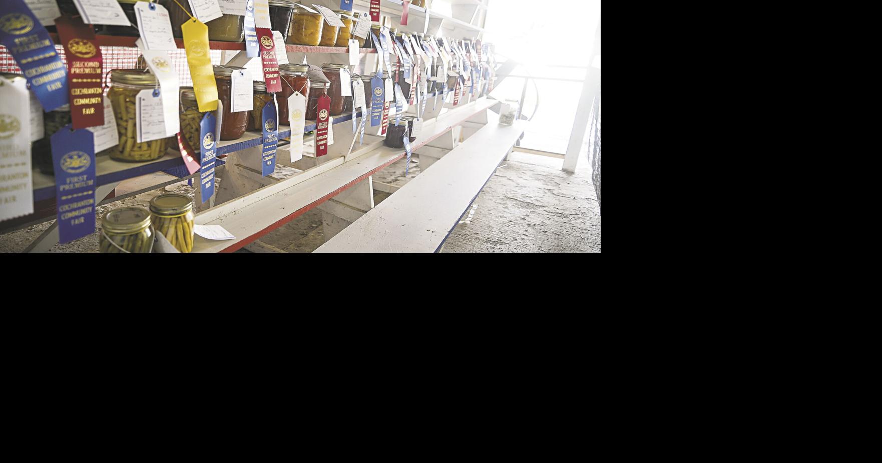 Cochranton Community Fair returns after year hiatus News