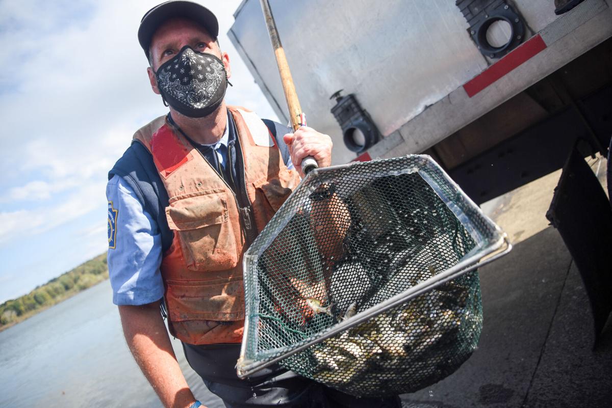 Fish Stocking At Woodcock Creek Lake
