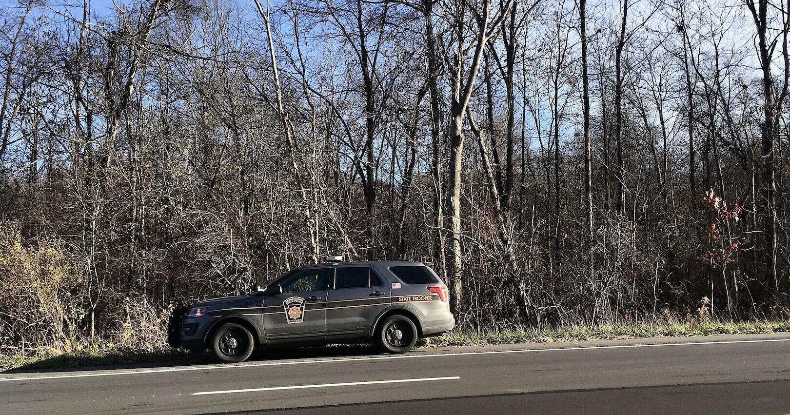 Police work to identify skull, bones found in Pulaski - Vimarsana News