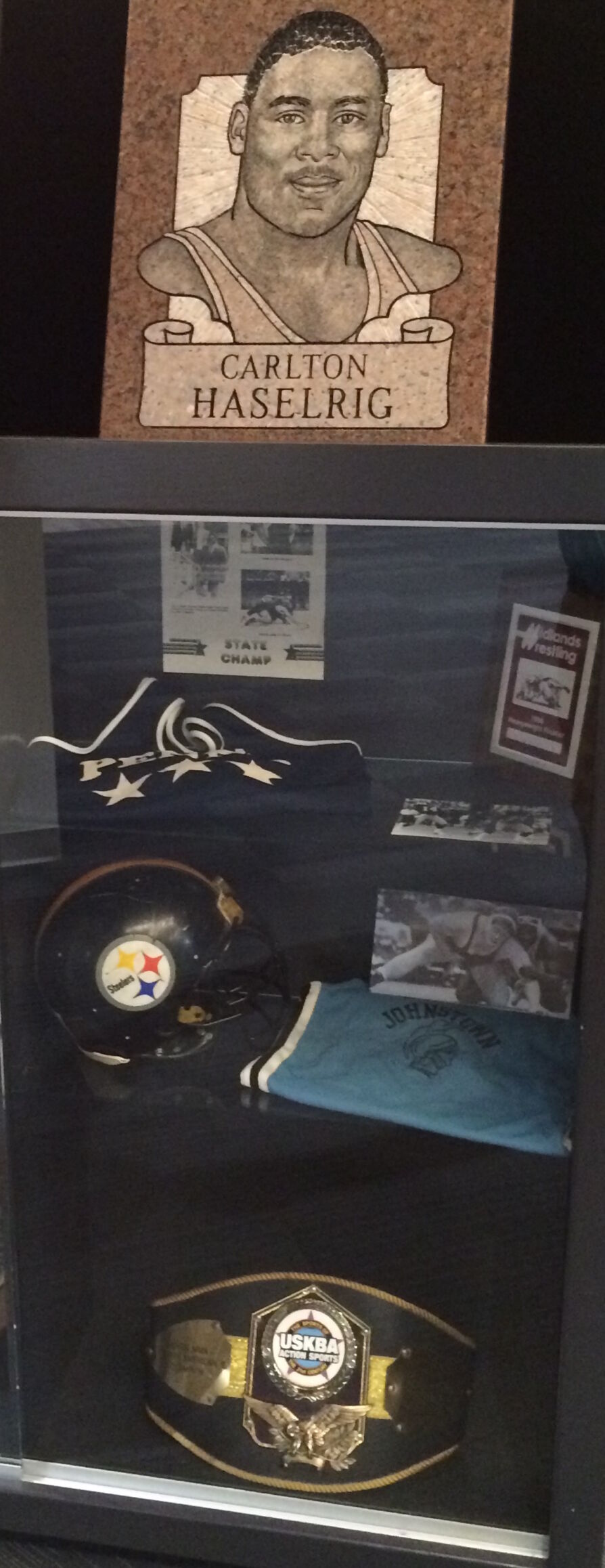 Carlton Haselrig display
