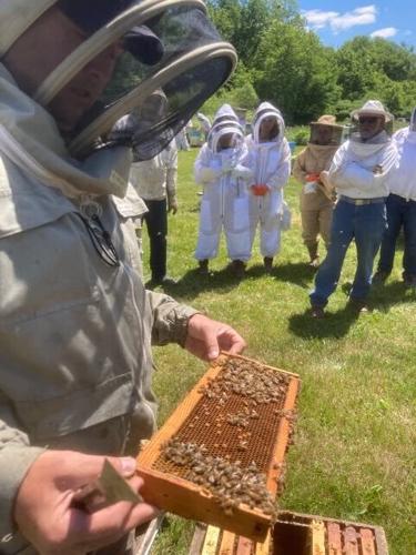 Beekeepers meet at Ernst Conservation Seeds | News 