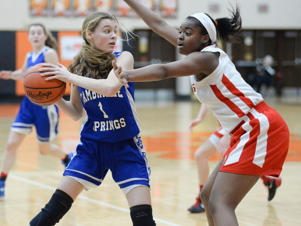 Girls Basketball Lady Blue Devils End Season With Loss To