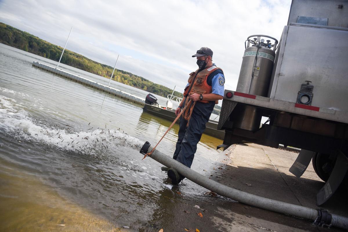 Fish Stocking At Woodcock Creek Lake