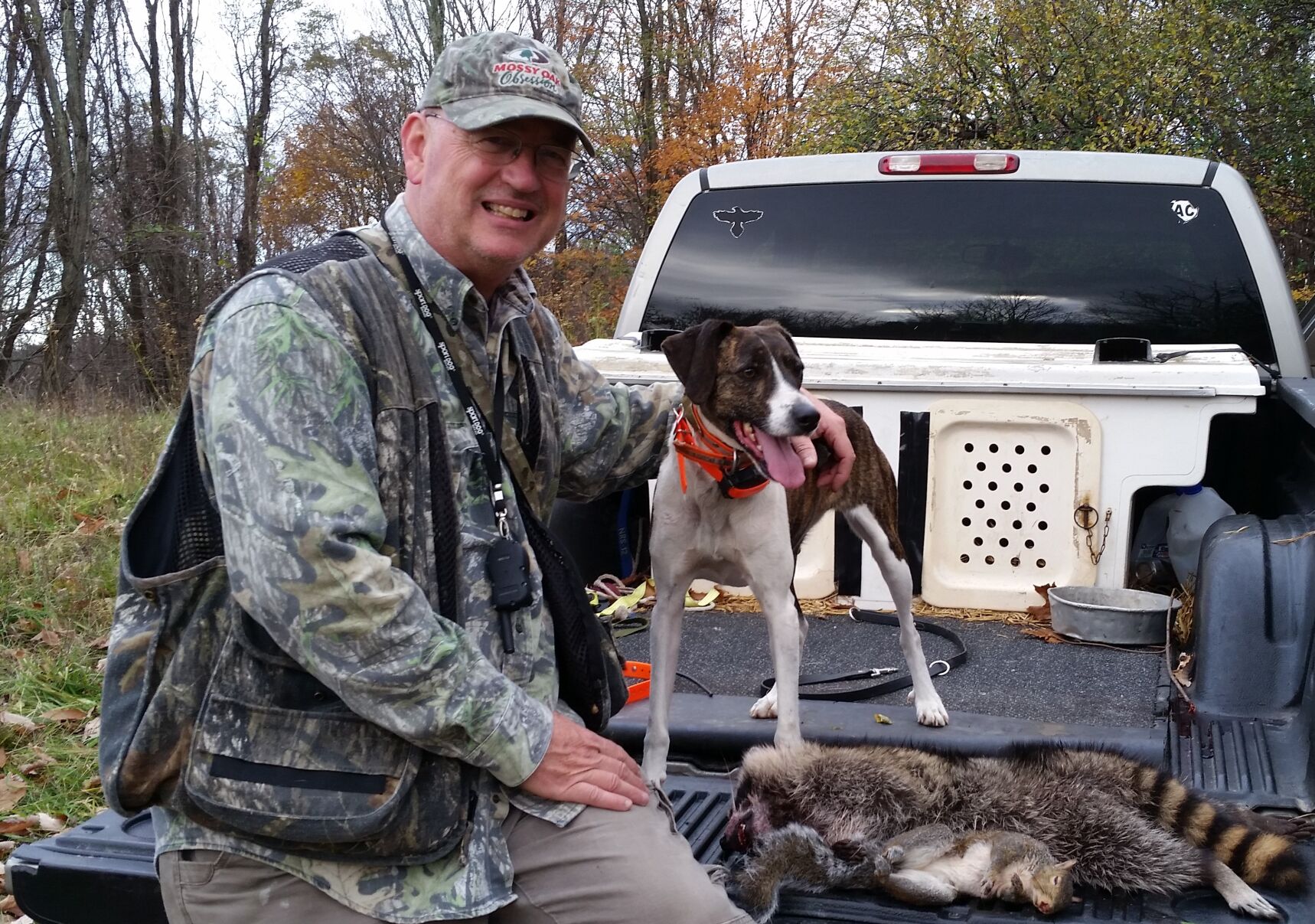 Squirrel sales hunting dogs