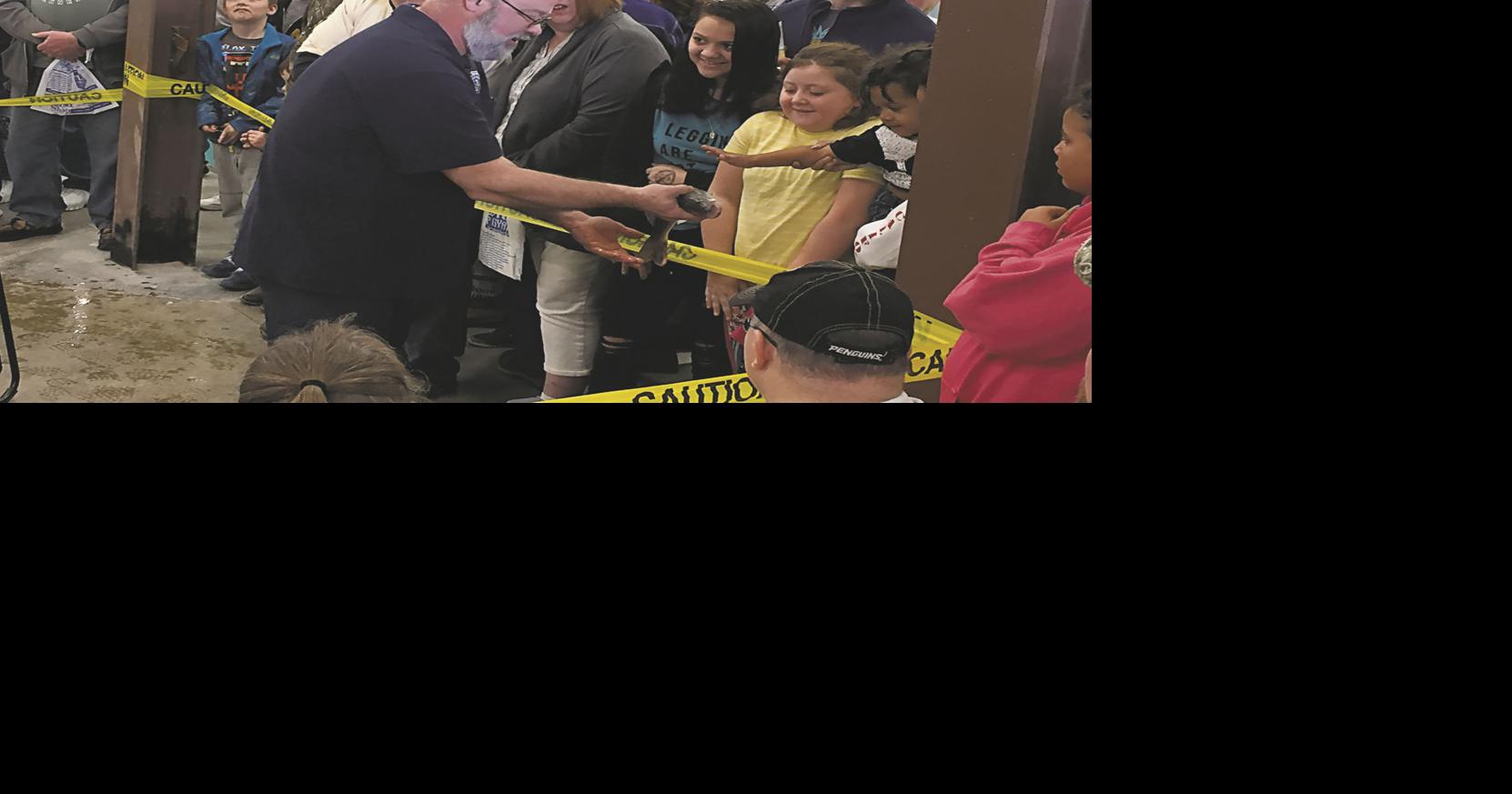 Huge crowds at Linesville State Fish Hatchery's 'fish frenzy' News