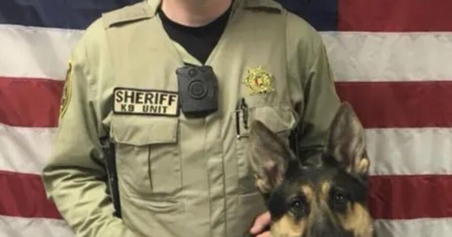 Strict inmate 'good behavior' law in effect as Alabama pays $1M to family of slain deputy - Vimarsana News