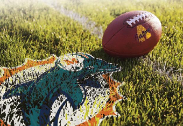 Former Allegheny College Coaches Reunited At Miami Dolphins