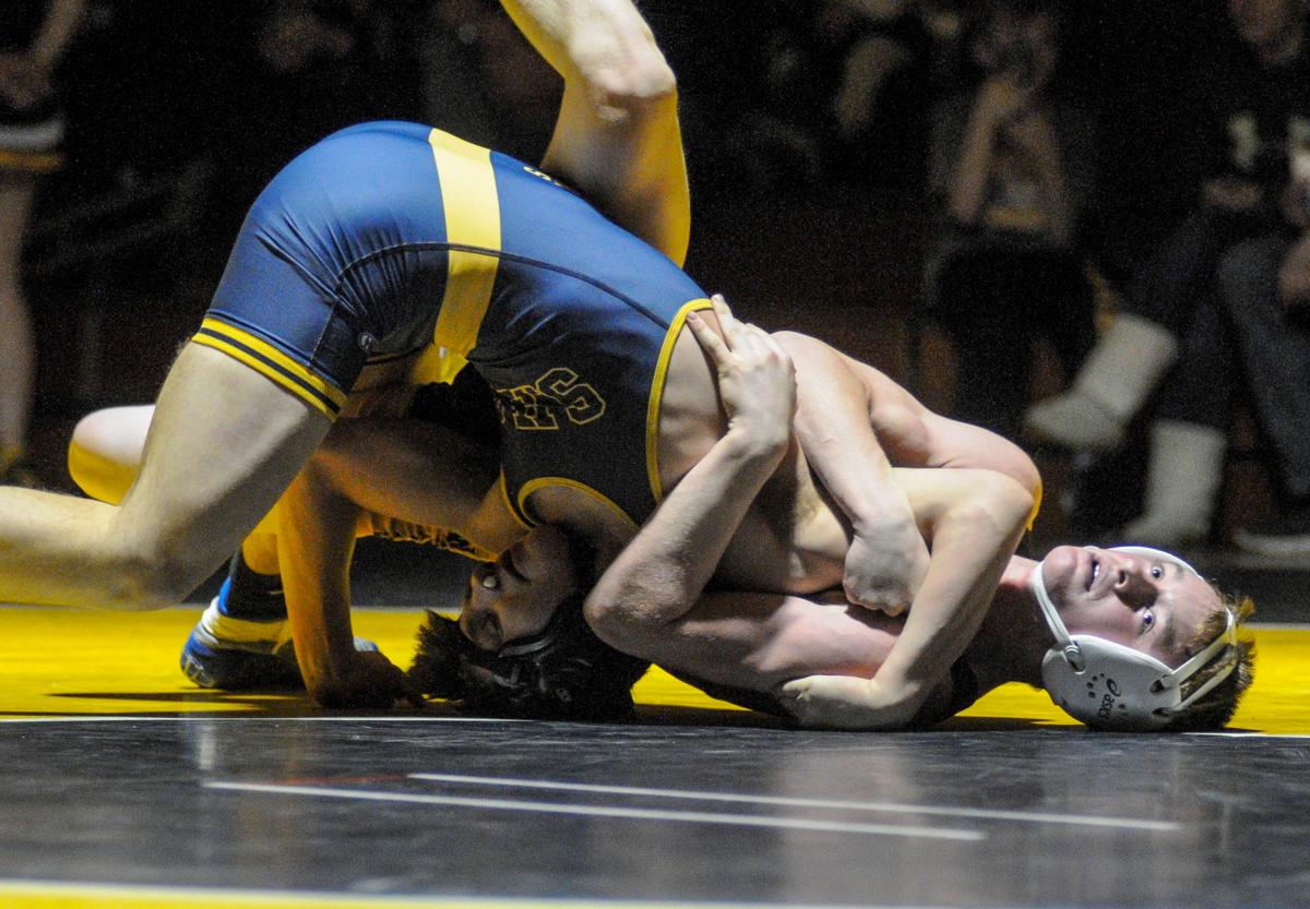 Panthers Hang On Against Feisty Tigers Sports Meadvilletribune Com
