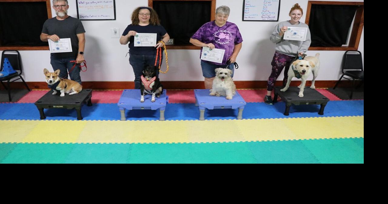 Novice trick trainers Community