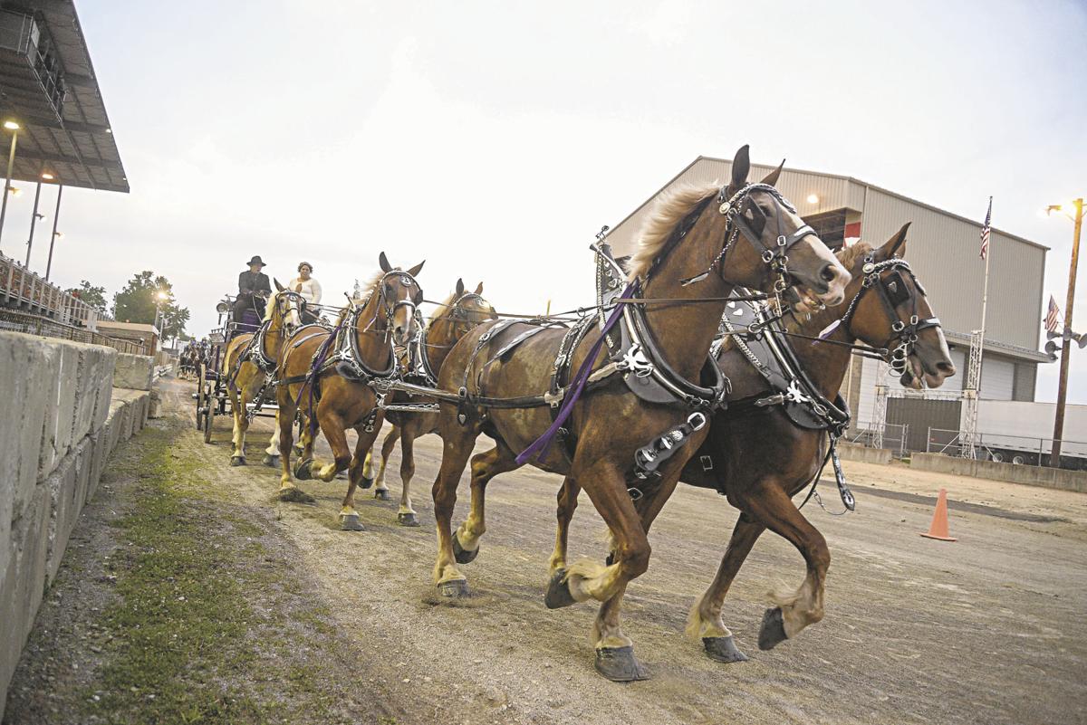 Beauty, power, pageantry featured in Six-Horse Hitch Classic ...