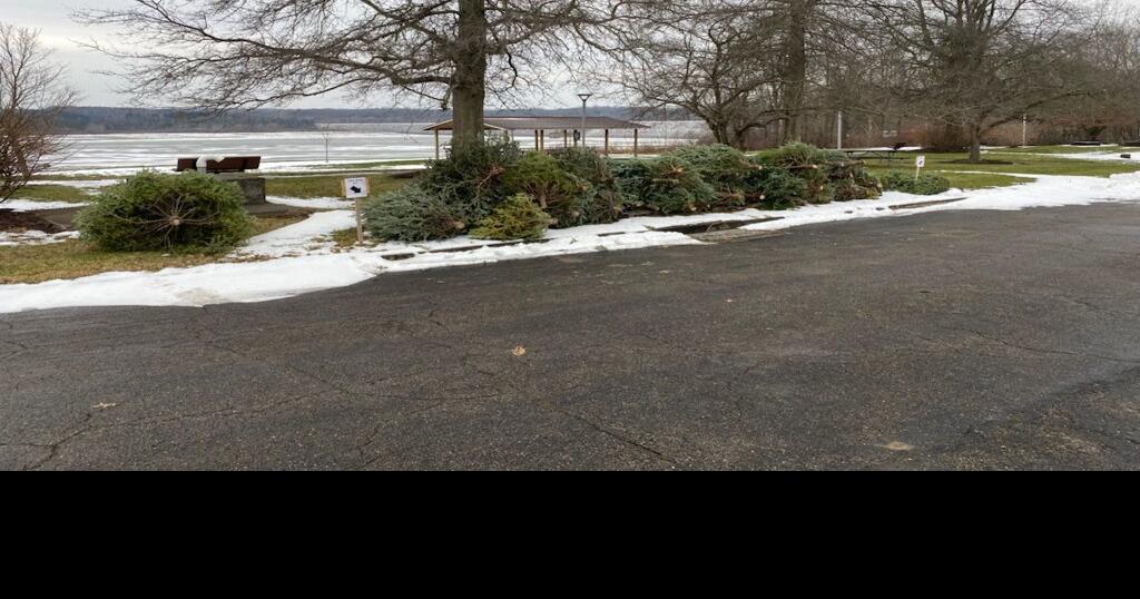 Christmas trees can be donated to Woodcock Creek Lake