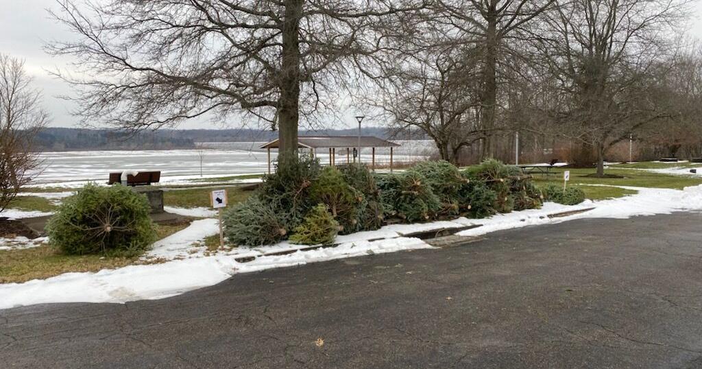 Christmas trees can be donated to Woodcock Creek Lake