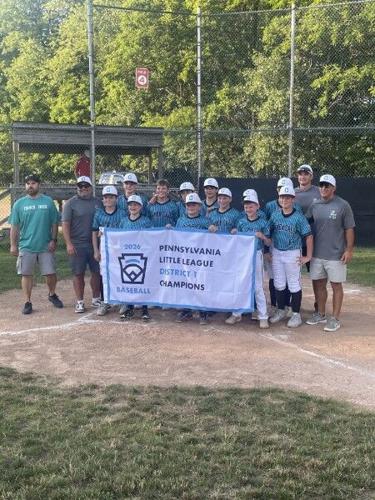 Meadville/FCVA Little League All-Stars breeze to championship