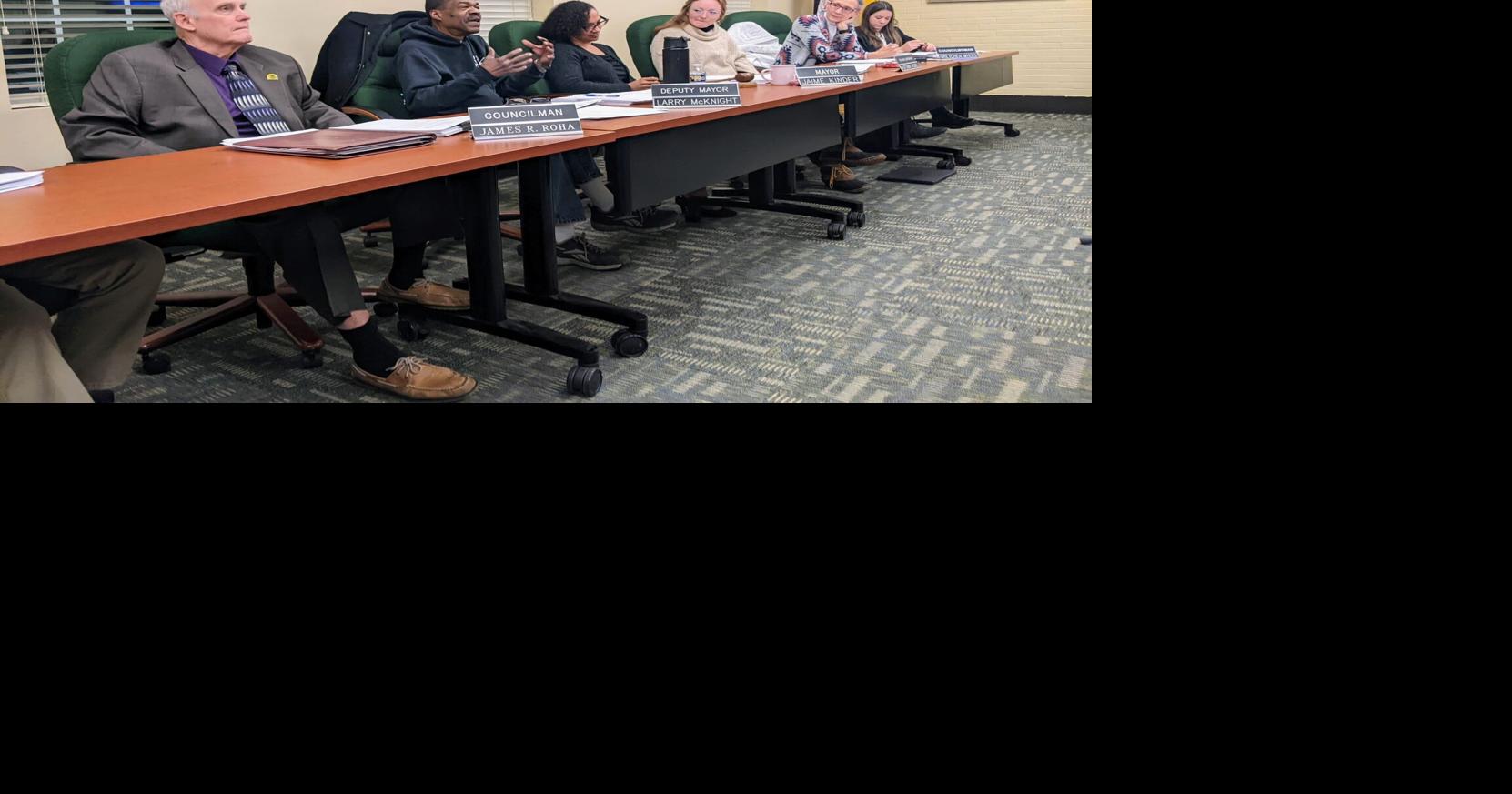 Council votes on new zoning ordinance, delays vote on sewer appointment