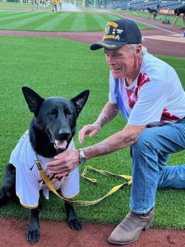 Meet Bucco, The Pirates First Ever Team Dog