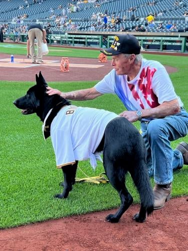 Meet Bucco, The Pirates First Ever Team Dog