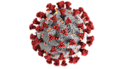 Coronavirus Png Image Hd Transparent