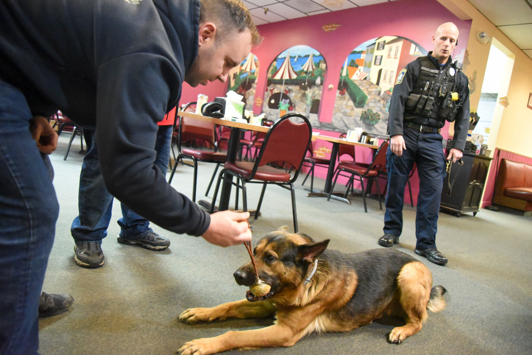German Shepherd Police dog Bullet Proof Vests Gilets, missing-persons,  carnivoran, people, dog Like Mammal png | PNGWing