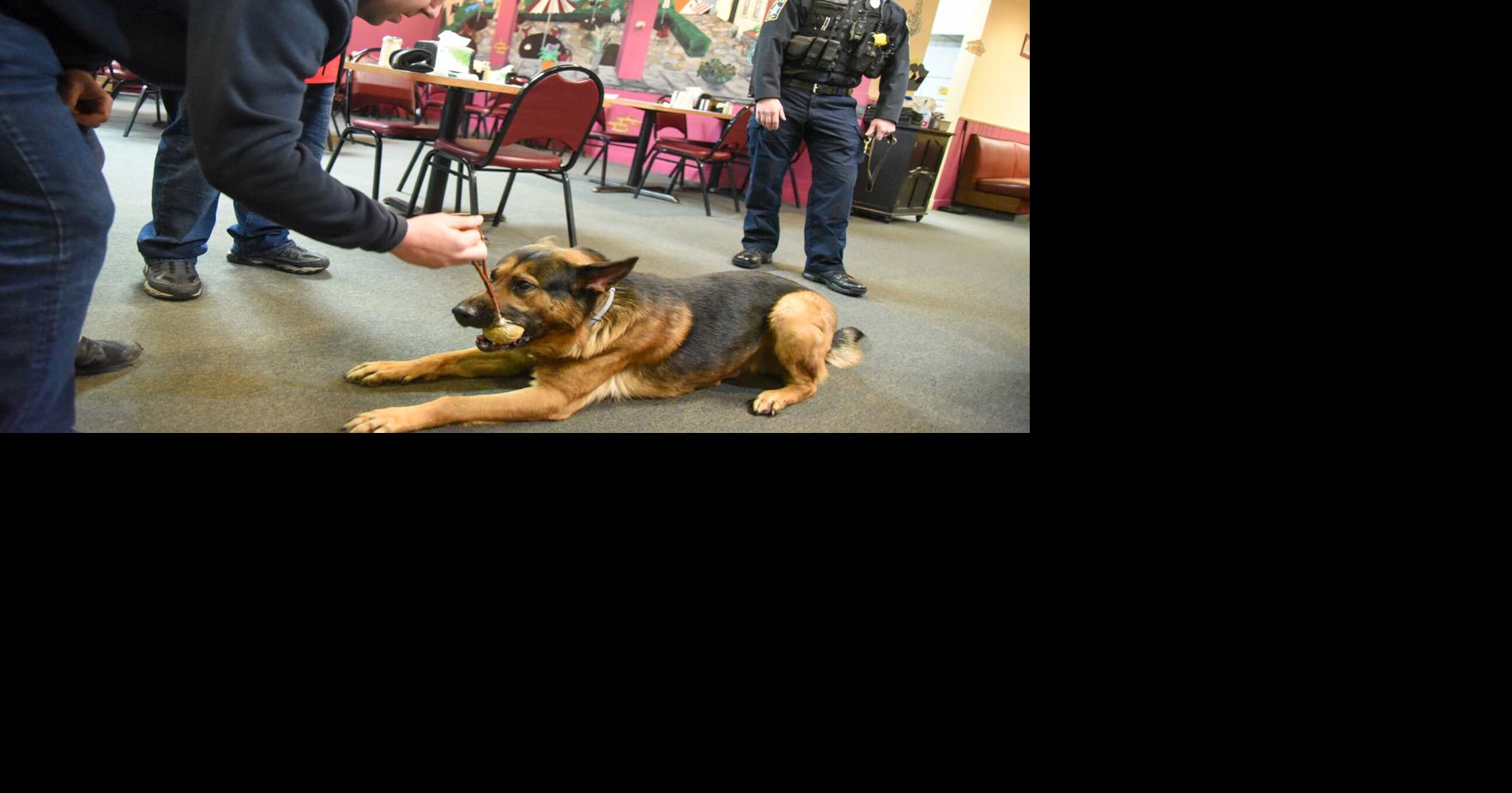 Dinner to raise funds for police department's second K9 officer News