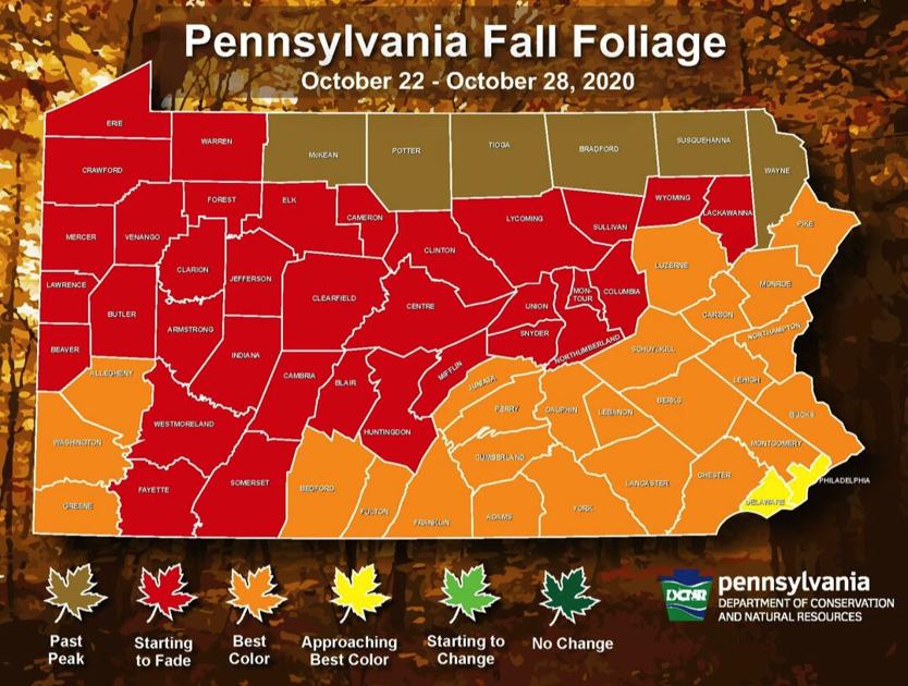 Pa. fall foliage forecast through Oct. 28 News