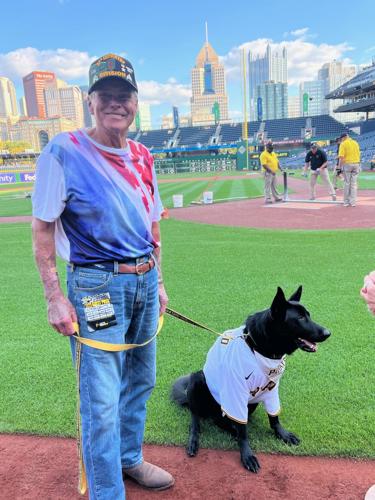 Meet Bucco, The Pirates First Ever Team Dog