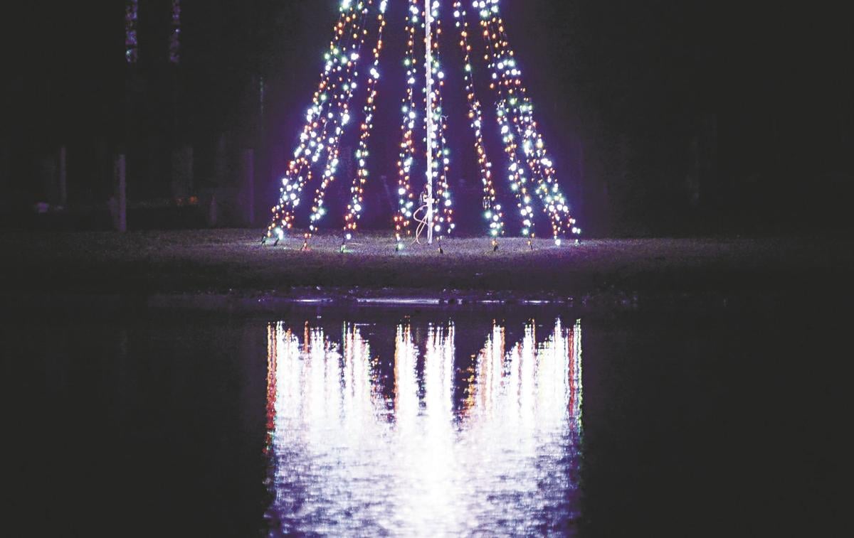 Trees of Light brighten Conneaut Lake's holiday season Local News