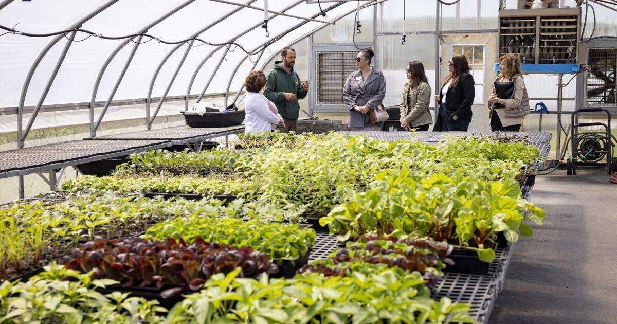 Shapiro administration Celebrates National Apprenticeship Week on Lehigh County farm