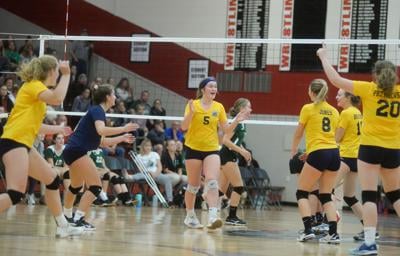 District 10 Girls Volleyball Panthers End Cinderella Season For Union City Local Sports Meadvilletribune Com
