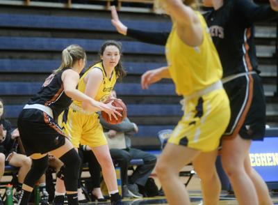 Local Roundup Lady Gators Cap 2019 Schedule With Win Over