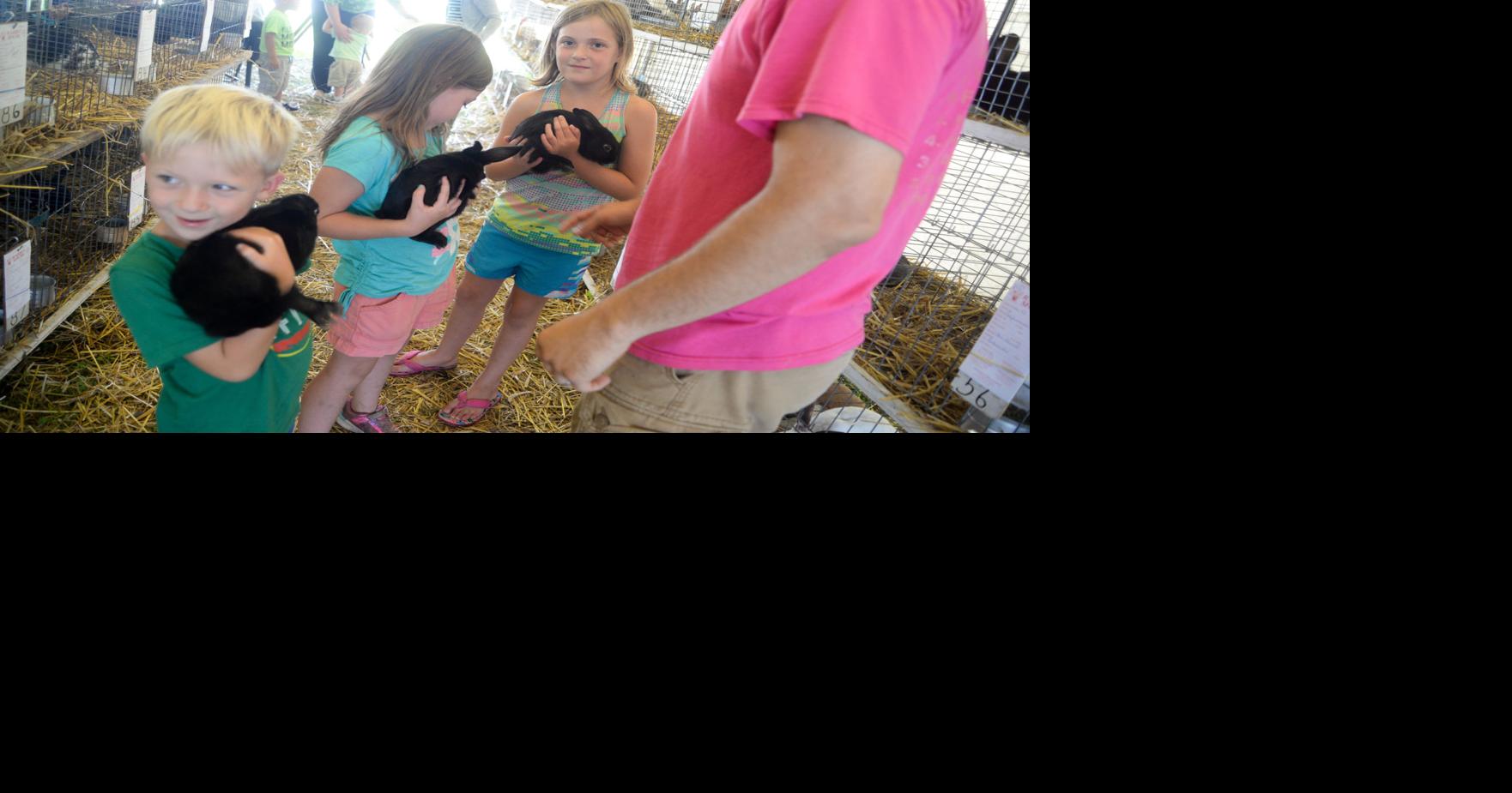 SLIDESHOW Cochranton Community Fair and Parade Multimedia