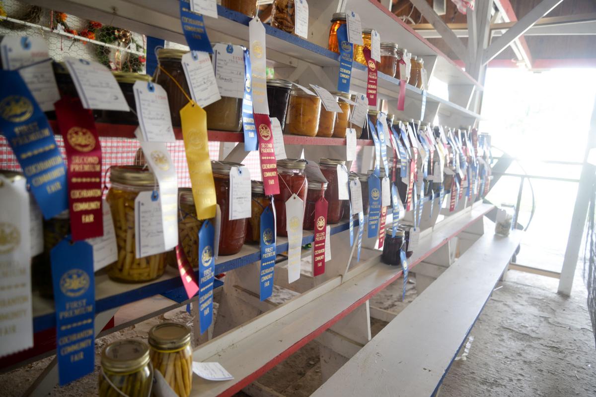 Nighttime parade a highlight of this week's Cochranton fair News