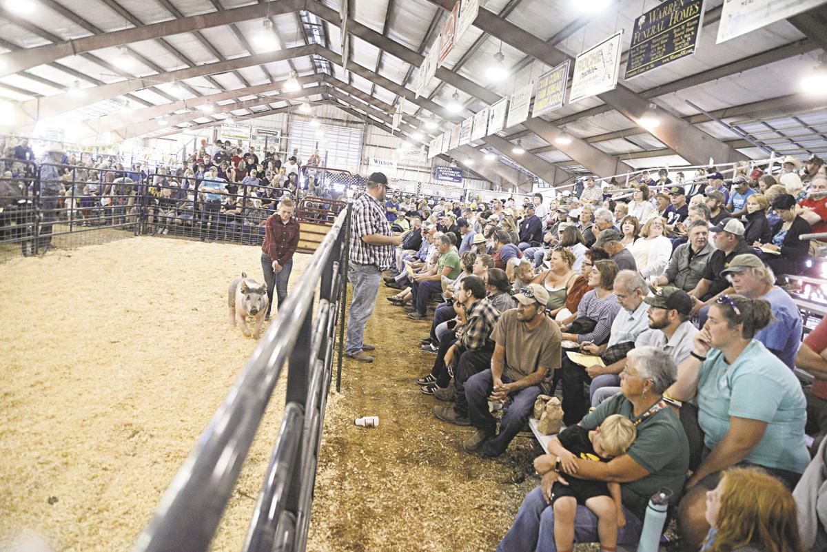 Swines dominate at fair's 4H and FFA Market Livestock Auction News