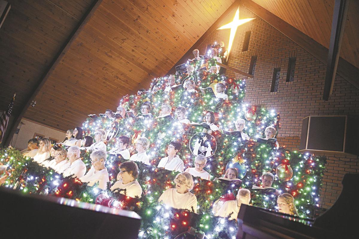 Trees Of Christmas Meadville Pa 2022 Living Christmas Tree Singer: 'It Wouldn't Seem Like Christmas Without It'  | News | Meadvilletribune.com