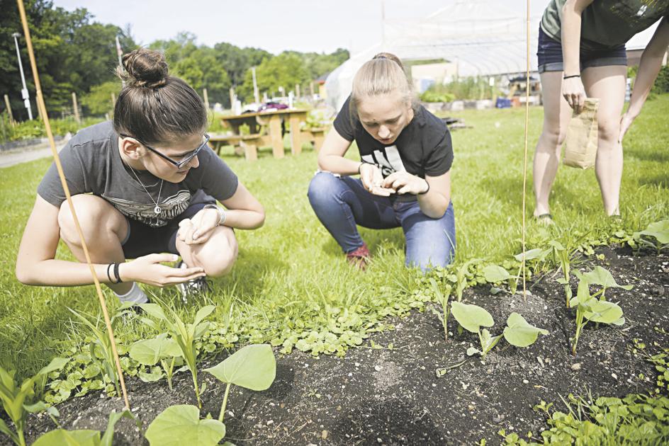 Grow Meadville Teens Cultivating More Than Just Vegetables News