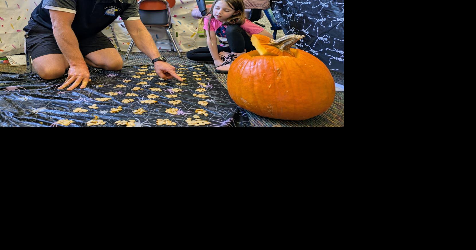 'Good chaos': Pumpkin Math Day produces learning that sticks | News ...