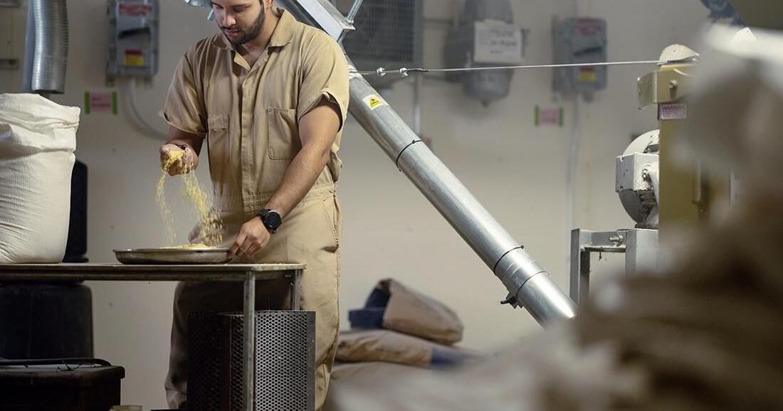 Key indicator signals nutrient distribution in chicken feed, researchers report