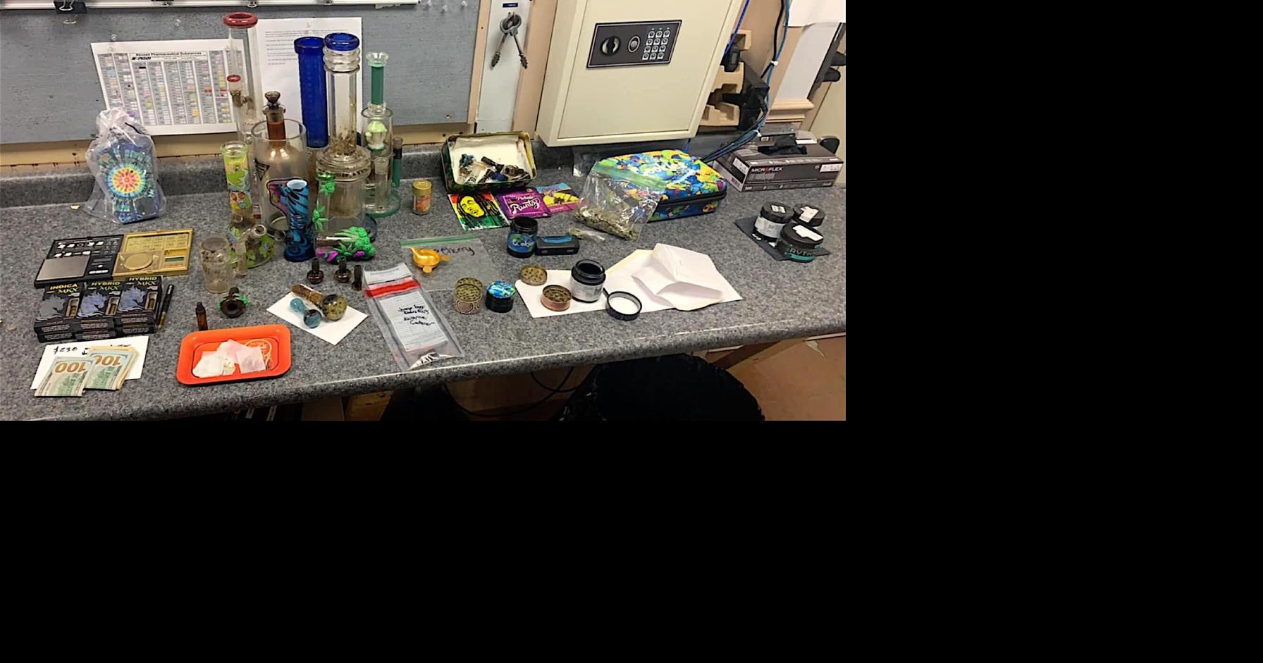 Two face drug charges after house searched in Greenville | News ...
